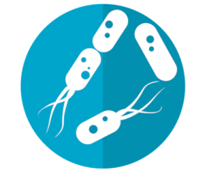 bacteria-icon-2